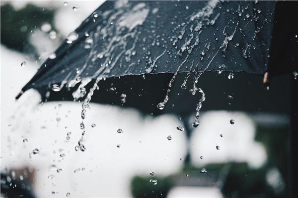 أمطار - صورة موضوعية
