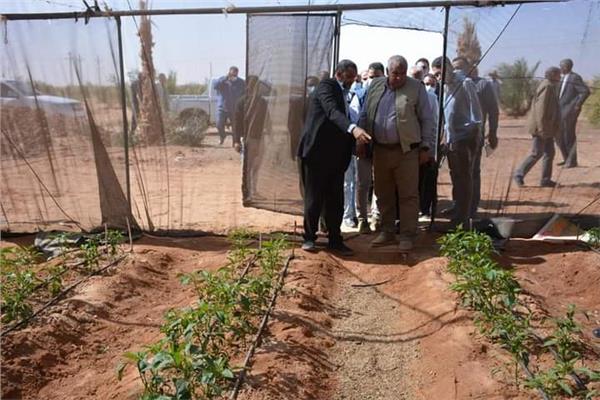 اللواء محمد الزملوط محافظ الوادي الجديد يتفقد احدى المشروعات الزراعية