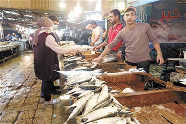 إقبال على شراء الأسماك رابع أيام رمضان فى السويس