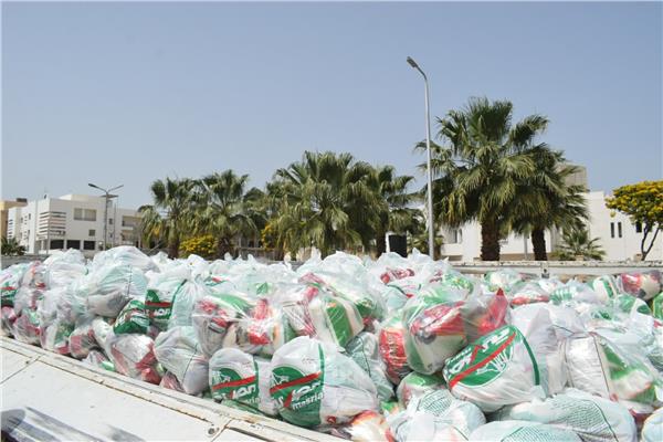 توزيع 1107 شنطة رمضانية علي الأسر الأولي بالرعاية بمدينة الغردقة