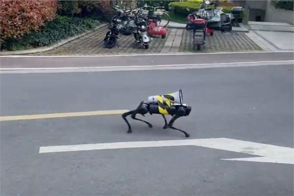 On the streets of China, “terrifying” robot dogs are enforcing the Corona ban