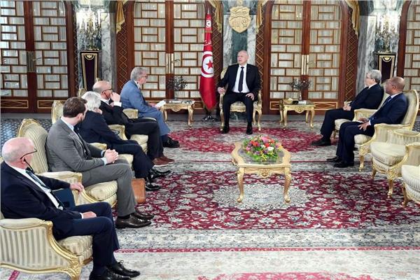 الرئيس التونسي قيس سعيد أثناء استقباله وفد من البرلمانيين الأوروبيين