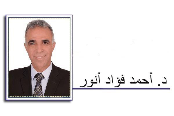 د. أحمد فؤاد أنور