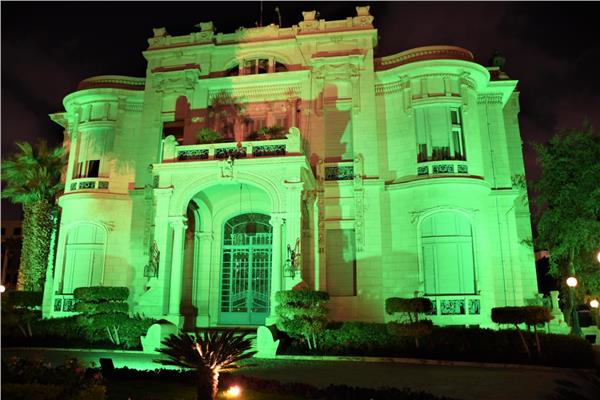 جامعة عين شمس تضاء باللون الأخضر