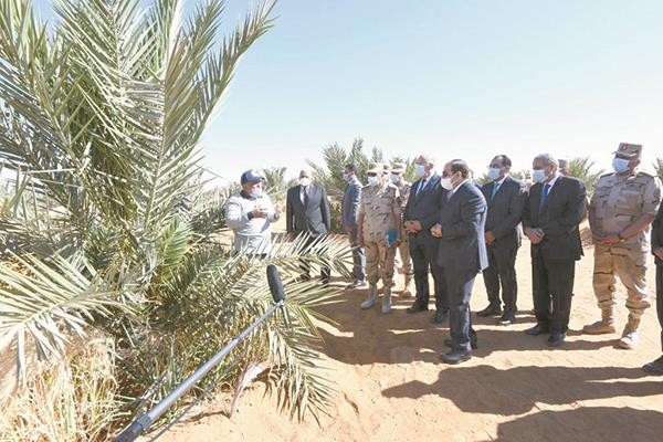 الرئيس عبد الفتاح السيسى يستمع لشرح حول مزارع النخيل