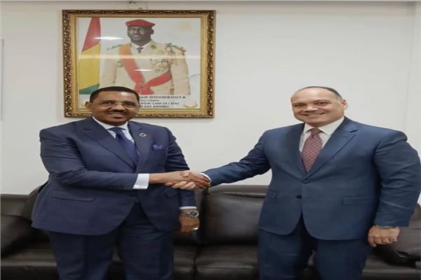 السفير المصري في كوناكري يلتقي وزير الصحة الغيني