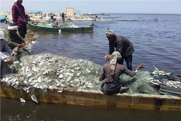انتعاش سوق السمك بمدن شمال سيناء