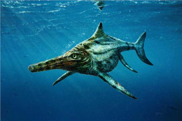عاش قبل 205 ملايين سنة ..أكبرنوع من السحالي السمكية العملاقة 