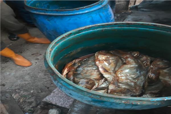 محافظ كفر الشيخ:ضبط 850 كيلو جرام أسماك مملحة 