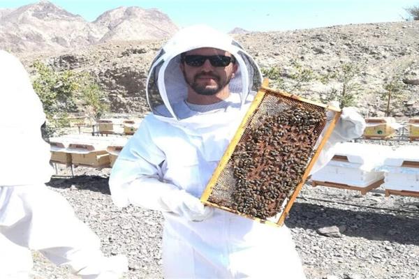 المهندس فيصل علام الخبير الدولي في تربية النحل وإنتاج ملكات النحل