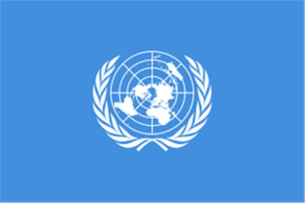 أمم المتحدة