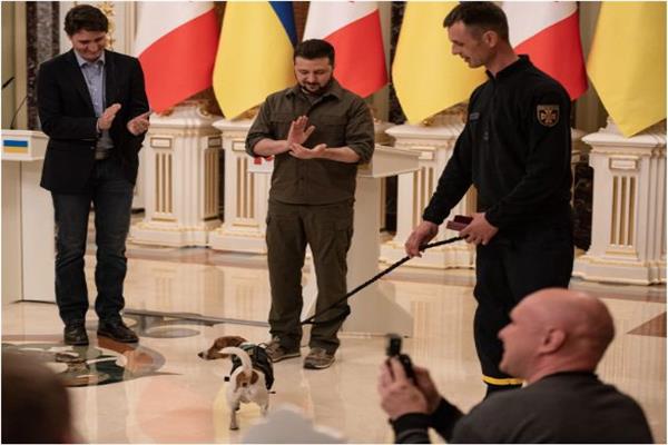زيلينسكي يكرم أشهر كلب في أوكرانيا