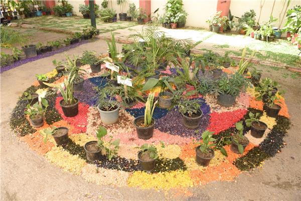 جامعة سوهاج تفتتح معرض زهور الربيع ونباتات الزينة 