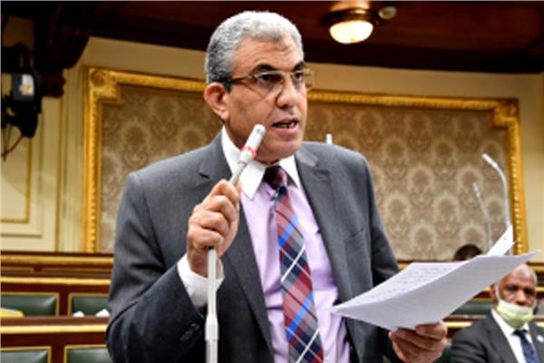 عادل عبدالفضيل رئيس لجنة القوى العاملة