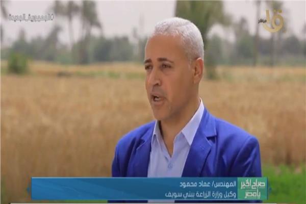 المهندس عماد محمد محمود وكيل وزارة الزراعة واستصلاح الأراضي بمحافظة بني سويف
