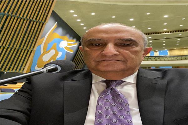 السفير ماجد عبد الفتاح، المراقب الدائم لدي الأمم المتحدة