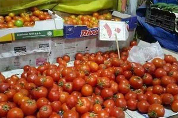 ارتفاع اسعار الطماطم