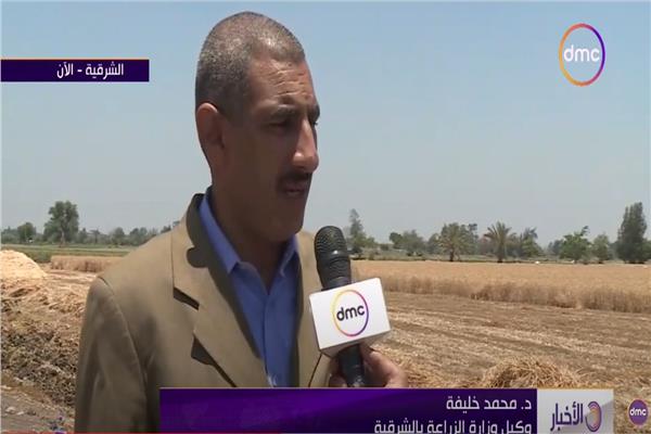 محمد خليفة وكيل وزارة الزراعة بمحافظة الشرقية
