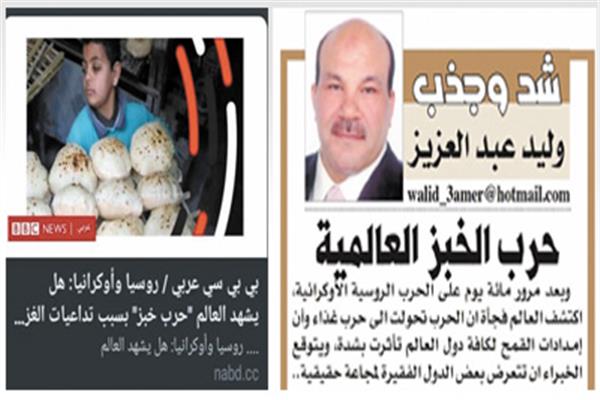 موقع بى بى سى يستعين بمقال للكاتب الصحفى وليد عبدالعزيز بعنوان «حرب الخبز العالمية»