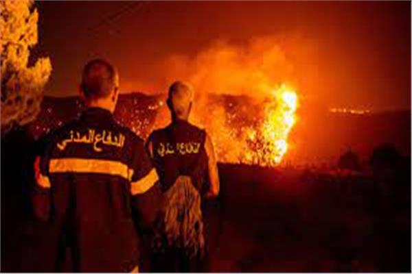 حريقً غابات لبنان