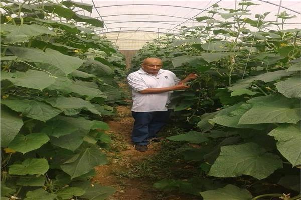  جمعة محمد عطا مدير محطة البحوث الزراعية