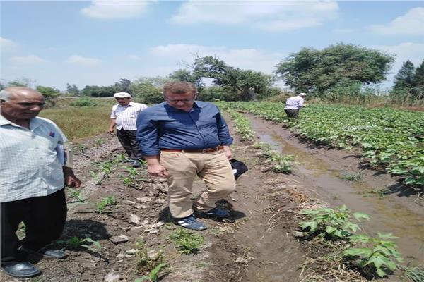  رئيس الإدارة المركزية لمكافحة الآفات الزراعية يتفقد المحاصيل الصيفية بشمال الدلتا 