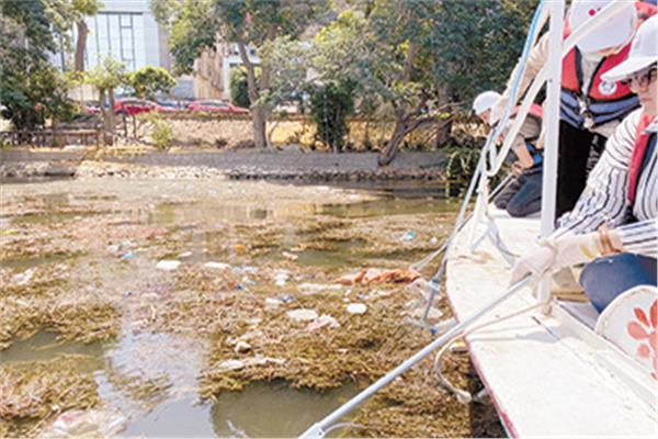 حملة شبابية لتنظيف نهر النيل من التلوث