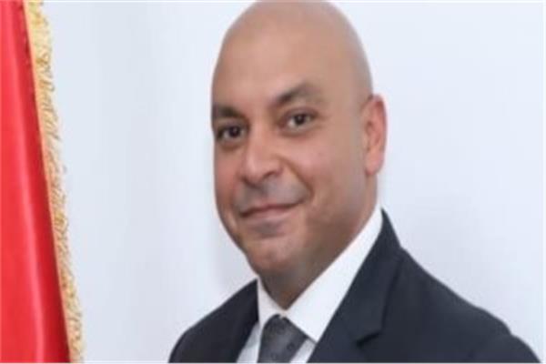 النائب محمود القط، عضو مجلس الشيوخ بتنسيقية شباب الأحزاب والسياسيين