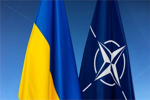علما حلف الناتو وأوكرانيا