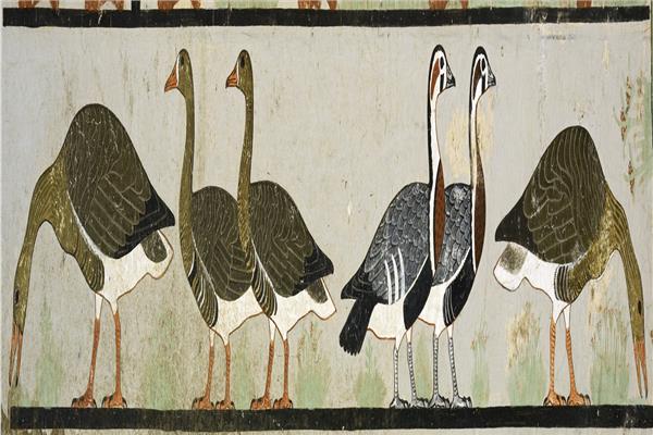  القطع الأثرية بالمتحف المصري بالتحرير 