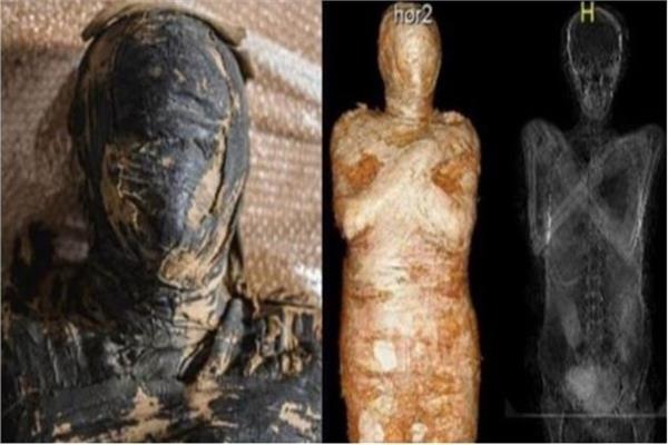  أول مومياء مصرية حامل