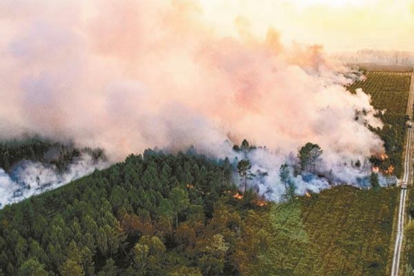  حرائق الغابات تلتهم آلاف الهكتارات فى فرنسا 