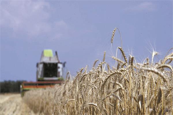 واجهت دول حول العالم نقصاً فى إمدادات القمح بسبب أزمة أوكرانيا