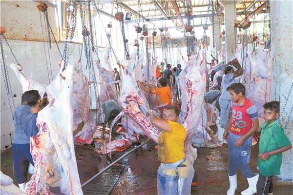 الدولة تسعى لزيادة الإنتاج المحلى من اللحوم الحمراء