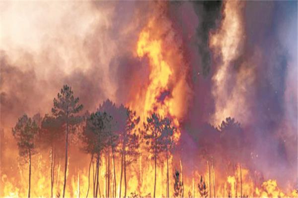 حرائق الغابات تتمدد فى أوروبا