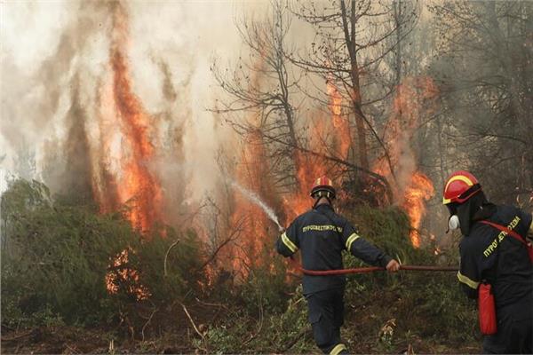 حرائق الغابات في سلوفينيا