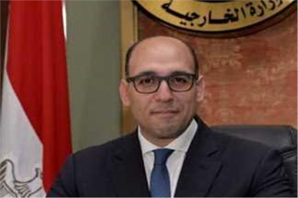  السفير أحمد حافظ