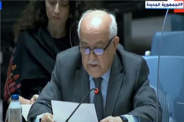 مندوب فلسطين خلال جلسة مجلس الأمن الدولي