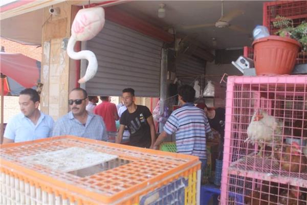 غلق وتشميع 23 محل تجارى بمدينة السادات  