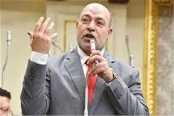  المهندس حسن المير عضو مجلس النواب