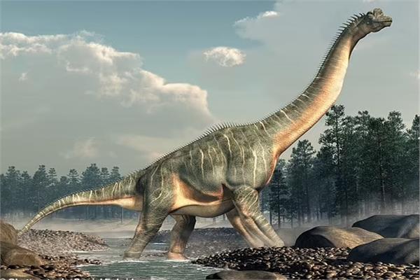 ديناصور «براكيوصوروس Brachiosaurus»