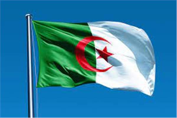 علم الجزائر - صورة موضوعية