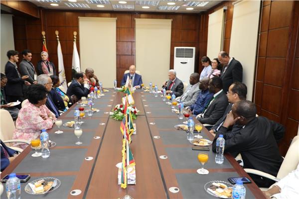 محافظ القاهرة يجتمع مع وزراء التنمية المحلية الأفارقة 