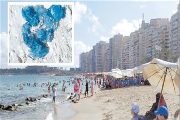 المصطفون يقبلون على شواطئ الإسكندرية ويتحدون شائعة القنديل الأزرق