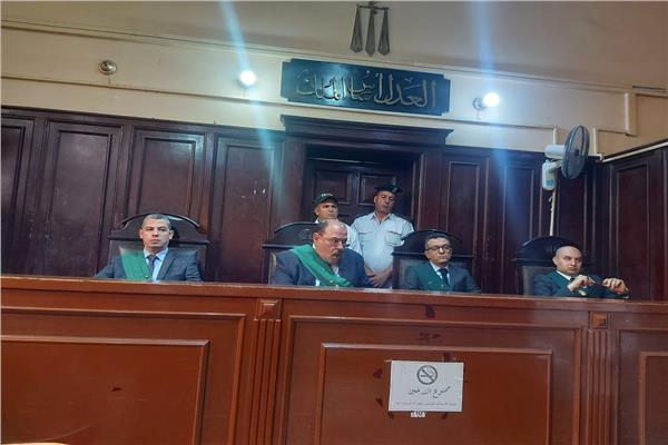 هيئة المحكمة برئاسة المستشار محمد نصرالدين 