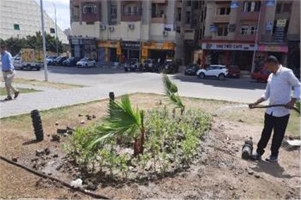 الشريف:  زراعة 5600 شجرة بشوارع وميادين الإسكندرية  