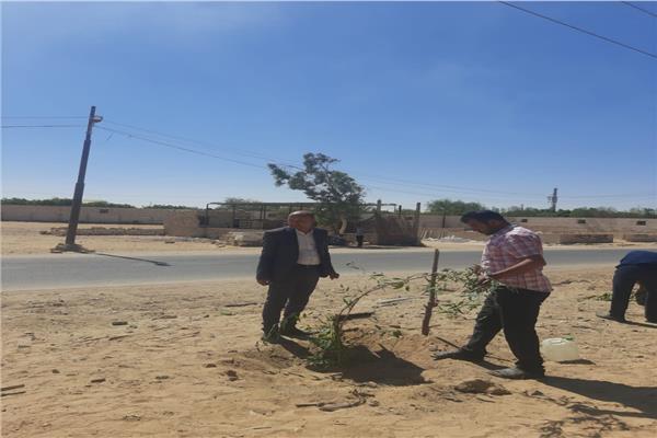  محافظ المنيا يتابع جهود الوحدات المحلية في تنفيذ المبادرة الرئاسية لزراعة" 100 مليون شجرة"