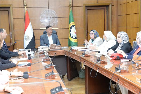  لجنة دائمة برئاسة محافظ الدقهلية  لدعم ومساندة  المرأة التي تتعرض للعنف