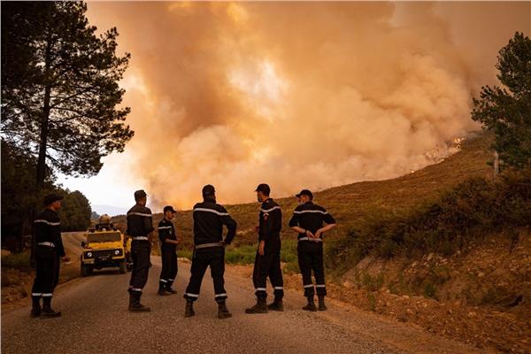 حرائق الغابات الجزائرية 