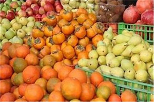 صادرات مصر من الخضروات والفاكهة